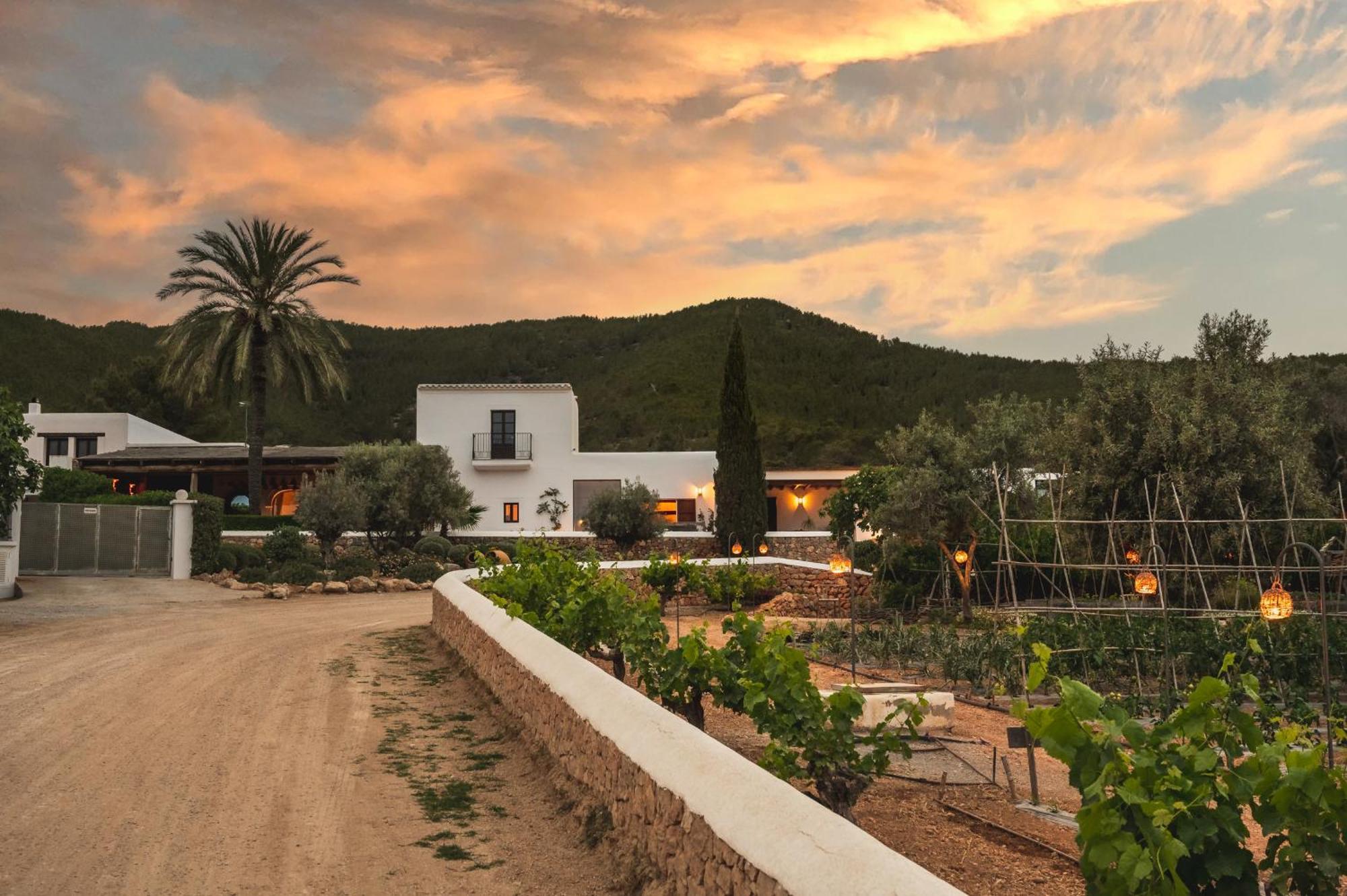 Casa Maca Hotel Ibiza Town